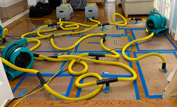 Professional Water Damage Repair technician working in Ferndale, PA